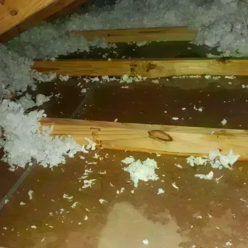 Attic Water Damage in Beloit, KS